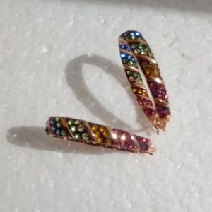 Multicolored Australian Crystal Earrings